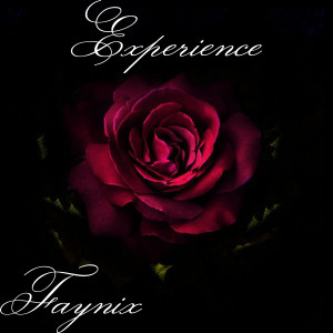 Faynix的专辑Experience