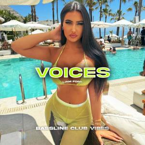 Liam Ford的專輯Voices (feat. Liam Ford)