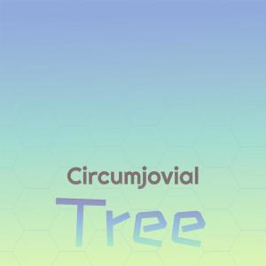 Various的专辑Circumjovial Tree