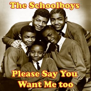The Schoolboys的專輯Please Say You Want Me too