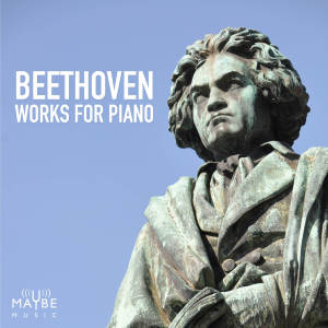 Listen to Allegretto, WoO 53 song with lyrics from David Bollard