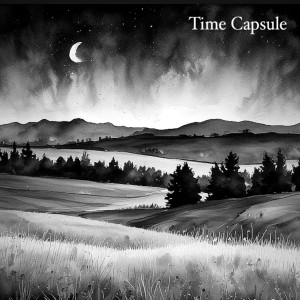 Listen to Time Capsule song with lyrics from Tyler David