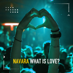 Navara的專輯What Is Love?