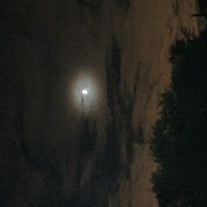 收聽Rajon Scott的Dont Say No歌詞歌曲