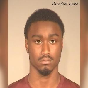 Album Paradise Lane from Seekae