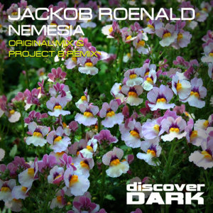 ดาวน์โหลดและฟังเพลง Nemesia (Project 8 Remix) พร้อมเนื้อเพลงจาก Jackob Roenald
