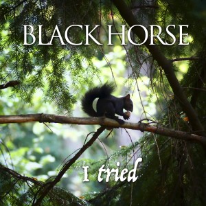 ดาวน์โหลดและฟังเพลง I Tried (Big Muff) (Explicit) พร้อมเนื้อเพลงจาก Black Horse