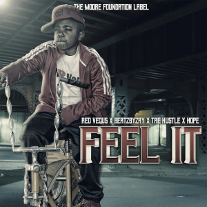 Album Can U Feel It from RED Vegus