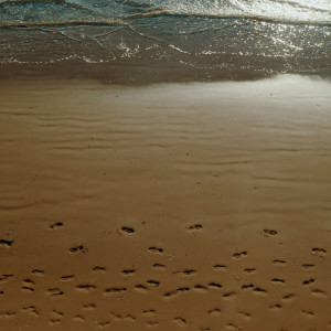 收聽Nearby的Trip歌詞歌曲