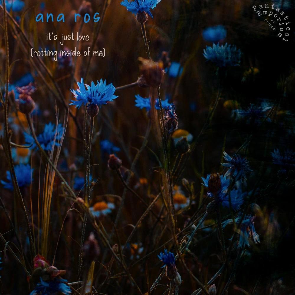 It's Just Love (feat. Du Brae, John Henderson, Mart Greenslade & softie) (Rotting Inside of Me)