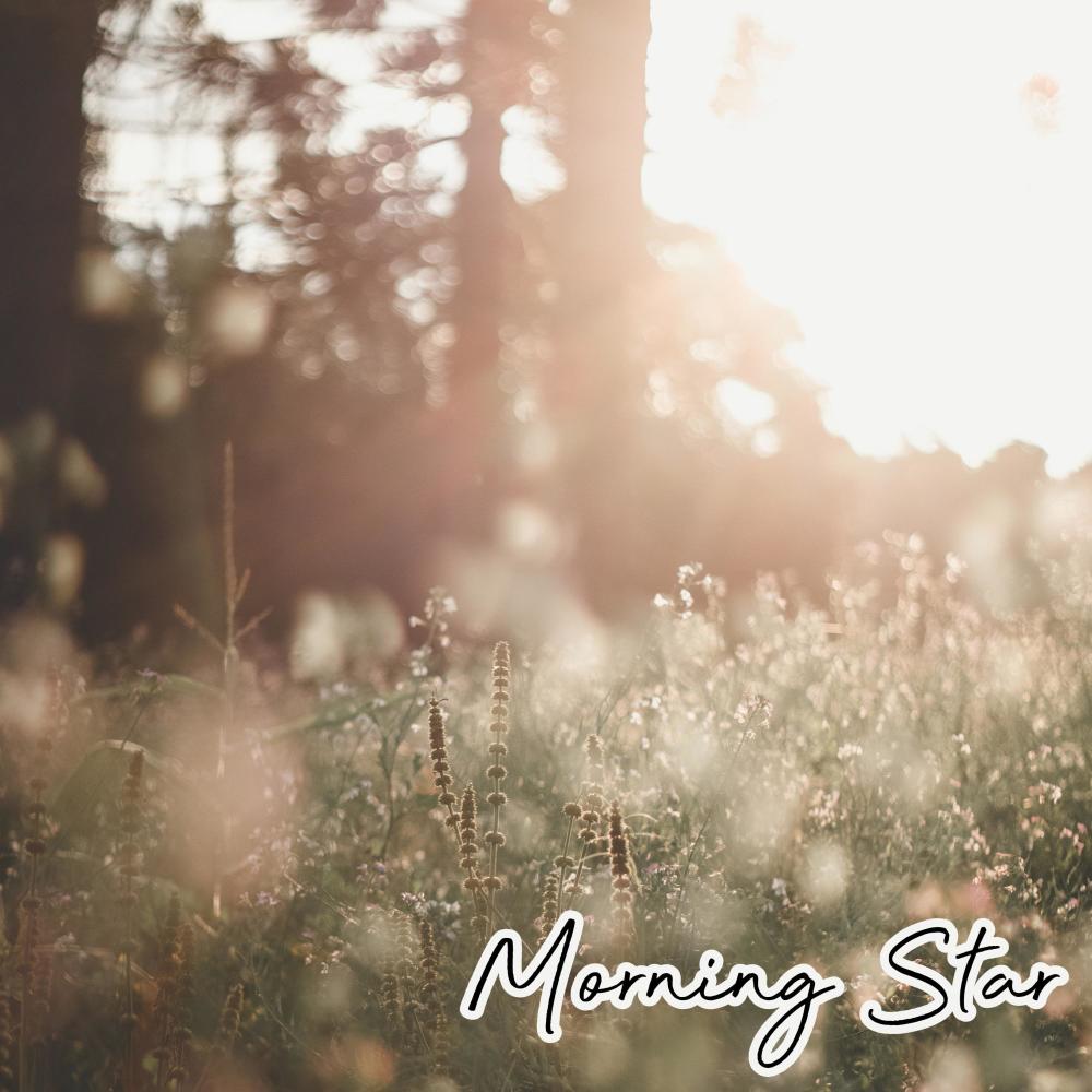 Morning Star (feat. Alex Ann)