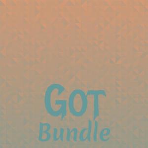 Various Artists的專輯Got Bundle