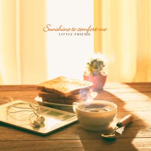 Album Sunshine To Comfort Me from Little Friend