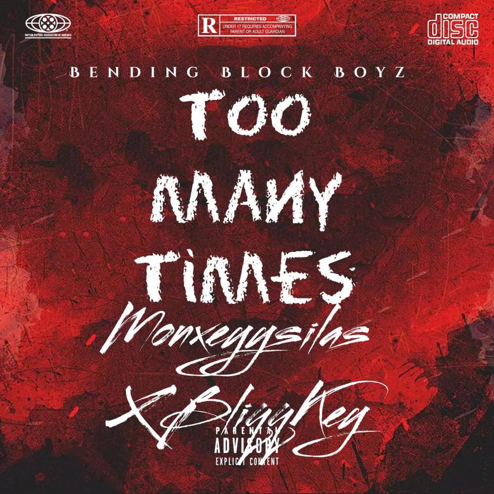 Too Many Times (feat. BliqqKeyy)