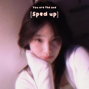 NINEILX的专辑You are the one   (feat. Reallypoxh & CHXID!) [sped up] (Explicit)