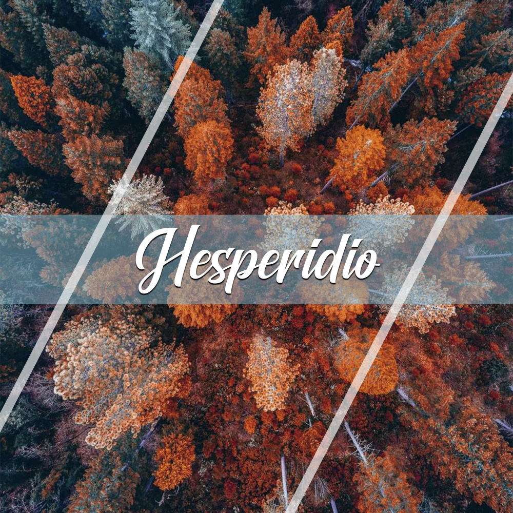 Hesperidio