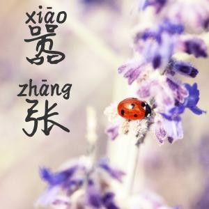 收聽張酷的囂張歌詞歌曲