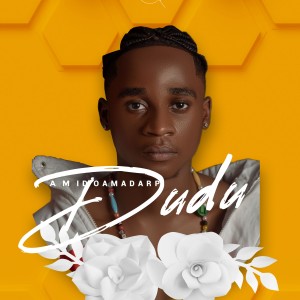 Listen to Dudu song with lyrics from Amido Amadarp