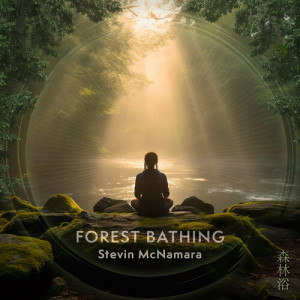 Stevin McNamara的專輯Forest Bathing 432 Hz (Shinrin Yoku) – The Magic of Nature