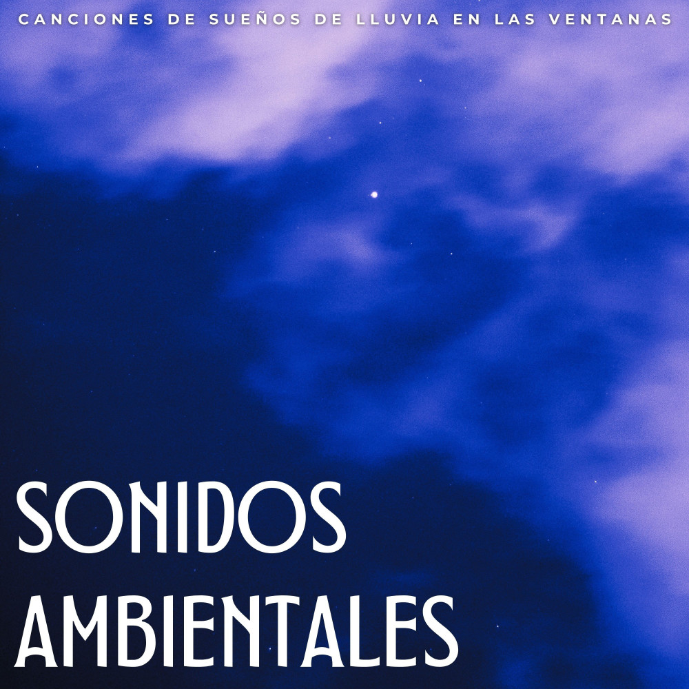 Noches De Lluvia Tranquila