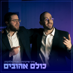 收听פיני איינהורן的כולם אהובים歌词歌曲