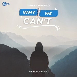 Dengarkan lagu Why We Can't nyanyian Samr8 dengan lirik