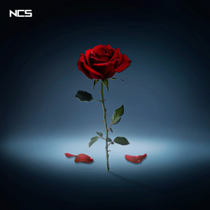 ดาวน์โหลดและฟังเพลง Severed Rose พร้อมเนื้อเพลงจาก Clarx