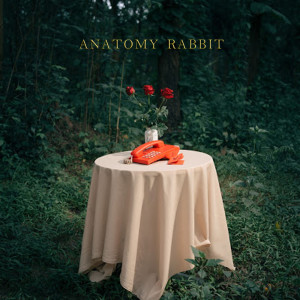 Album Past & Present from Anatomy Rabbit