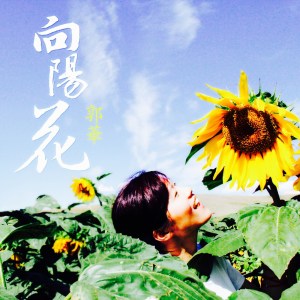 收聽郭華的向陽花 (伴奏)歌詞歌曲