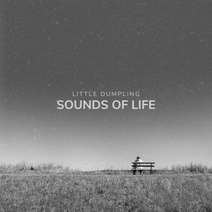 Album Sounds of Life from Little Dumpling