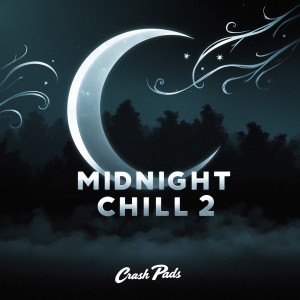 Listen to Old Toys song with lyrics from Crash Pads