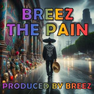 loon3 aka breez的專輯The Pain