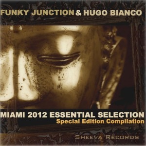 ดาวน์โหลดและฟังเพลง Go Wild (Antony Reale Rmx) พร้อมเนื้อเพลงจาก Funky Junction
