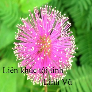 Listen to Ngừơi em năm cũ 1 song with lyrics from Linh Vũ