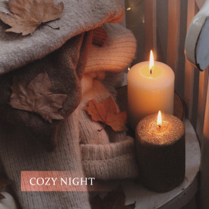 Cozy Night (Jazz to Relax, Calming the Mind, Soothing Jazz, Moments of Rest)