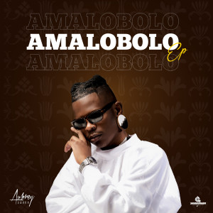 Listen to Imvula song with lyrics from Aubrey Qwana