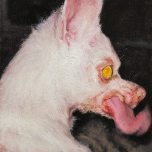 Cero Ismael的專輯AT LEAST SOMETHING IS PROTECTING YOU (Explicit)