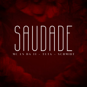 Dj Tuta 061的專輯Saudade (Explicit)