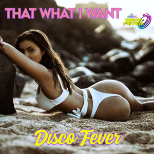 Dengarkan That What I Want lagu dari Disco Fever dengan lirik