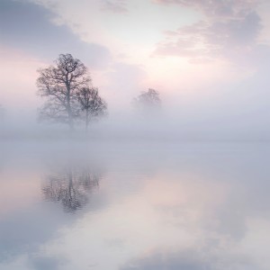 收聽羽腫的為霜 (完整版)歌詞歌曲