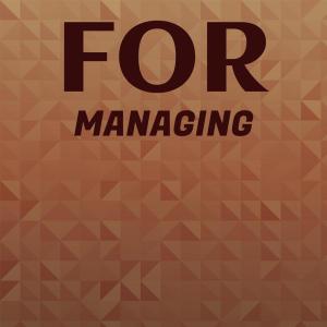 Various Artists的專輯For Managing