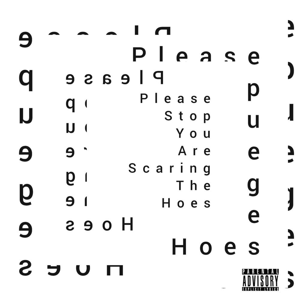 PleaseStopYouAreScaringTheHoes (Explicit)