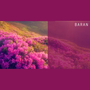 Album Little Bit More from 바란