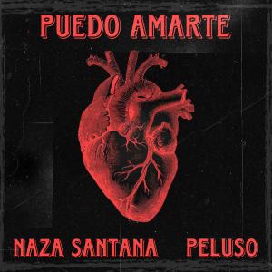 ดาวน์โหลดและฟังเพลง PUEDO AMARTE พร้อมเนื้อเพลงจาก Naza Santana