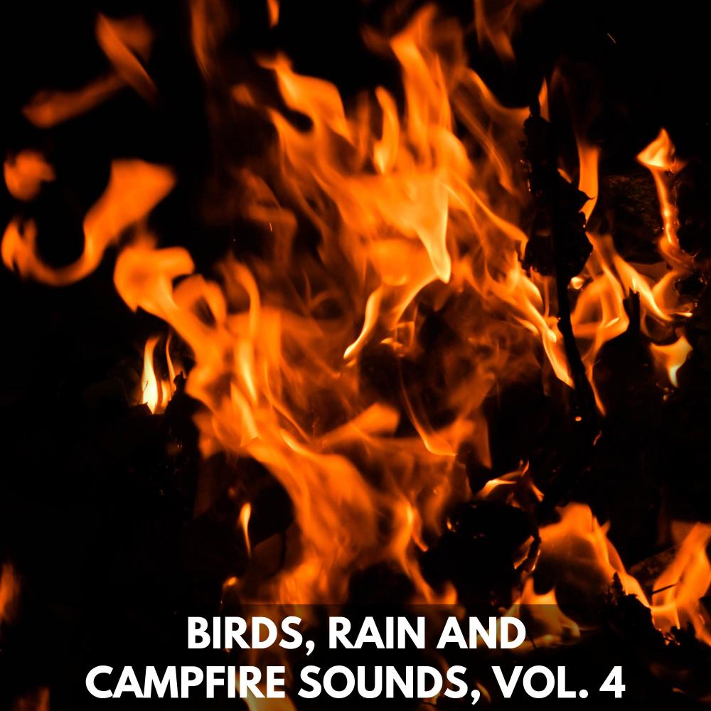 Feel of Fire