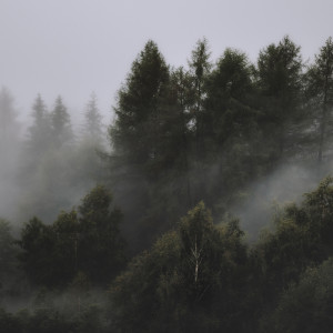 Listen to Deep and Calm Sleep song with lyrics from Deep Sleep