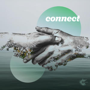 อัลบัม Connect (Meditation Album) ศิลปิน Various Artists