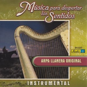 ดาวน์โหลดและฟังเพลง El Condor Pasa พร้อมเนื้อเพลงจาก Dario Robayo