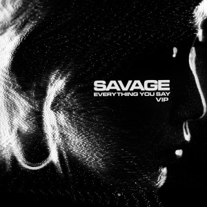 Album Everything You Say (VIP) oleh Savage
