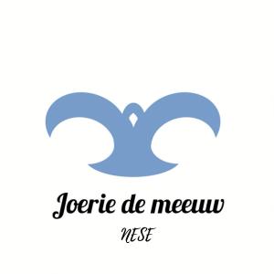Listen to Joerie de meeuw song with lyrics from Nese